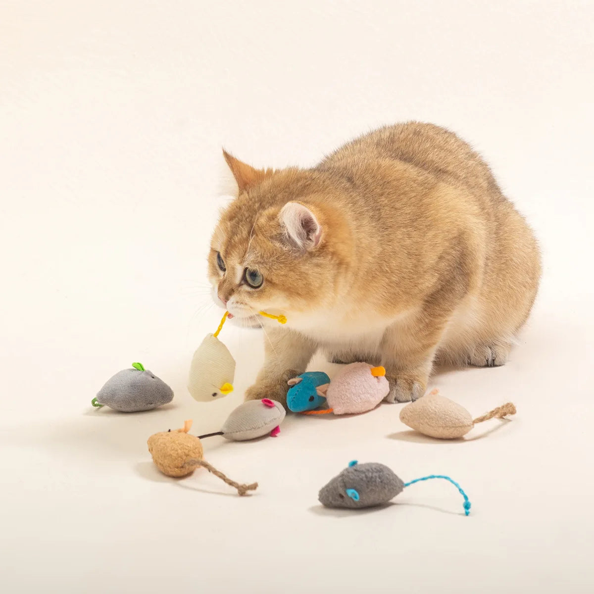 Pet Toy Mice Cats Catnip Toys Interactive Fun Plush Mouse Cat Toy For Kitten Colorful Cute Plush False Mouse Pet Cat Accessories