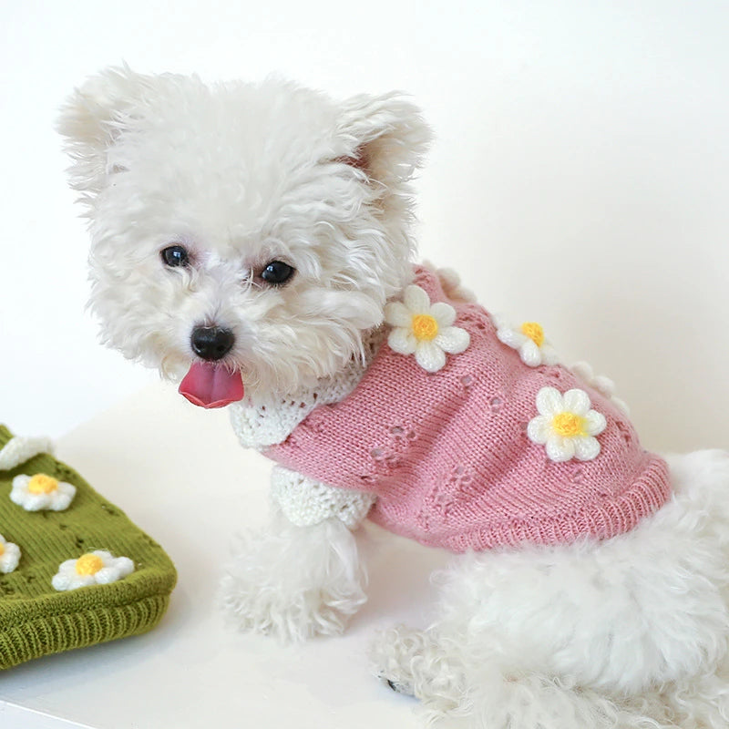 Luxury Designer Warm Winter Clothes for Pets Wool Knitting Floral New Year York Dog Sweaters Sphinx Cat Christmas Puppy Clothing