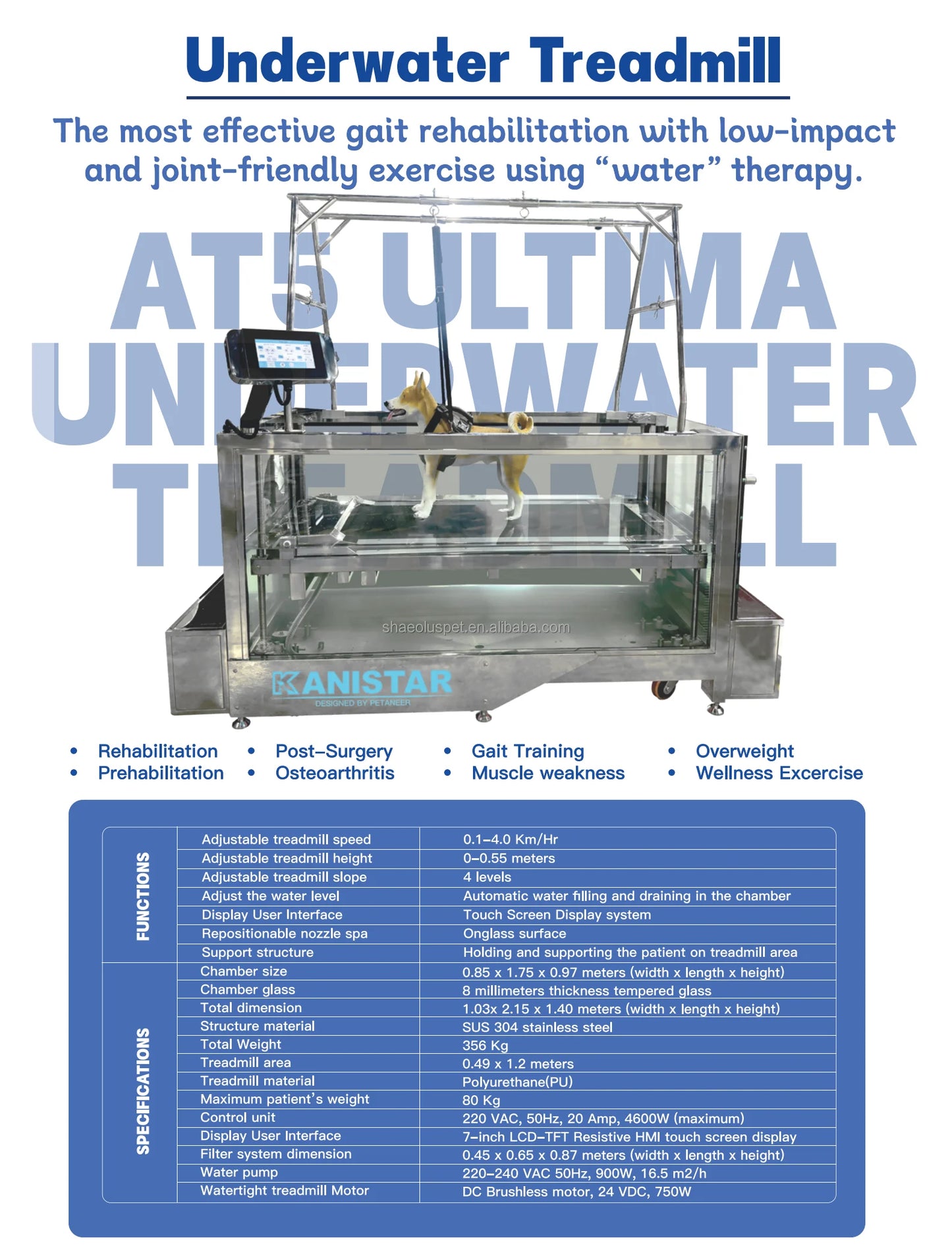 Dogs Hydrotherapy Pet Training Rehabilitation Underwater Treadmill High Quality Dog Training Equipment Water Treadmill