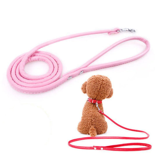 Pet Products Round Colorful PU Rolled Dog Walking Leashes for Small Medium Breeds Dogs Puppy Chain Lead Training Walking Leash