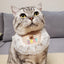 Adjustable Pet Dog Necklace Lace Bandana Bibs Birthday Gift Medium Puppy Collars Floral New Year Spring Accessories for Cats