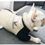 2022 Spring and Autumn New Style Pet Parent-child Clothing Bichon Cat Clothes Embroidered Dog Costumes