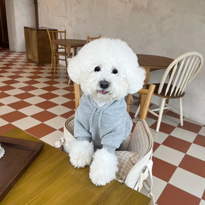 Winter Thin Dog Hoodies for Small Dogs Chihuahua Cotton Puppy Sweatshirt Pet Pullover Bichon Yorkie Dog Costume Solid Dog Coat