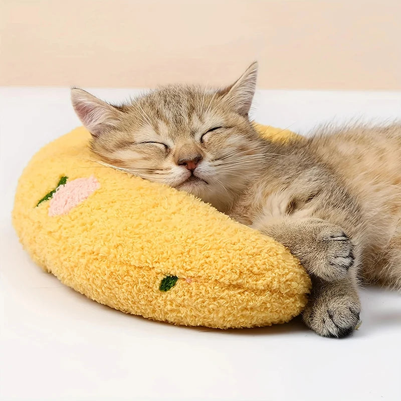 Cats Accessories Beds Dog Bed Houses and Habitats House Basket All Pet Products Mat Accessory Puppy Kitten Goods Things