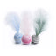 Cat Feather Toy Funny Foam Star Ball Feather Toy for Kitten Funny Cat Toy Throwing Toys Interactive Puppy Kitty Toy Pet Supplies