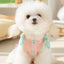 Cute Pet Dog Sweater Winter Dog Warm Clothes Palid Puppy Coat Chihuahua Bichon Yorkie Clothing Sweaters and Hat Set Dog Costume