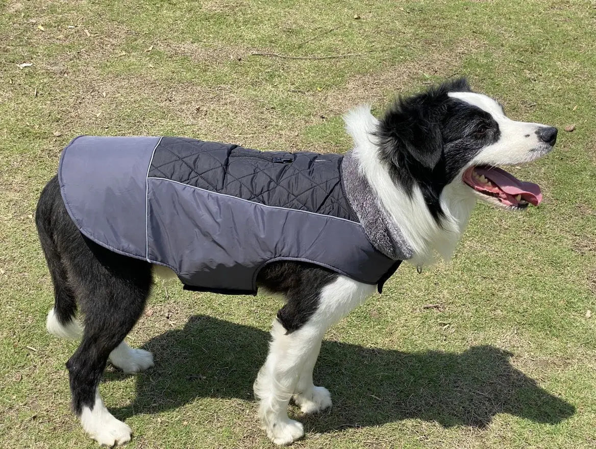 Warm Fleece Collar Dog Coat Jacket Double-Sided Winter Dog Coat Waterproof Puppy Clothing For Small Medium & Large Dogs Supplies