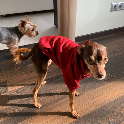 Winter Pet Doggy Clothing Leisure Small Dogs Hoodies Coat for Puppy Soft Warm Cat Dog Sweater Sweatshirt Teddy Chihuahua Clothes