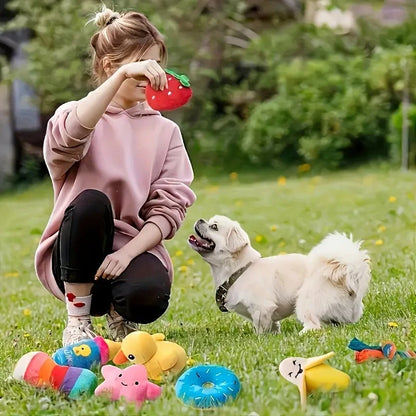 10/20/50 Pack Dog Squeaky Toys Plush Games Cute Plush Toys for Small Medium Dog Fleece Toys Wholesale