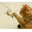 New Handfree Bird/Feather Cat Wand with Bell Powerful Suction Cup Interactive Toys for Cats Kitten Hunting Exercise Pet Products