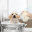 Silicone Dog Bath Massage Gloves Brush Pet Cat Bathroom Cleaning Tool Comb Brush for Dog Can Pour Shampoo Dog Grooming Supplies
