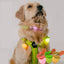 Dog Night Light 3 Flashlight Dog Cat Collar Glowing Pendant Night Safety Pet Leads Necklace Luminoues Bright Decoration Collars
