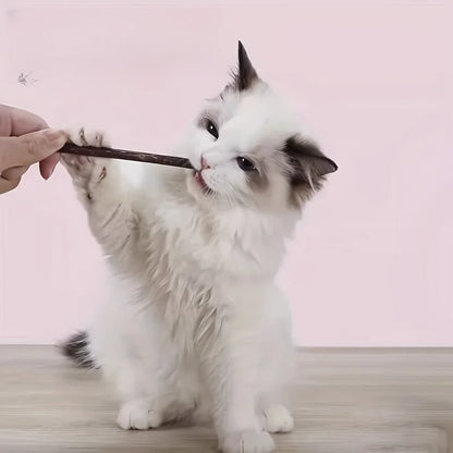 10/15/20 pieces/lot Catnip sticks, pet cat teething toys, natural wooden polygonum sticks, teeth cleaning, boredom relief snacks