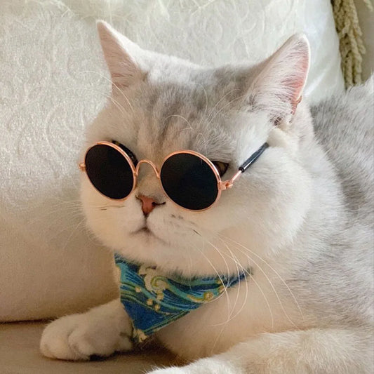 Anti-slip Cat Sunglasses Pet Accessories Small Dog Sun Glasses Classic Retro Circular Glasses for Kitten Photos Props Cosplay