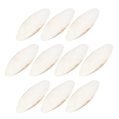Natural Cuddle Bone Parrot Chew Toys Chewing Cuttlefish Bone Bird Cuttlebone Environmental Protective Toy