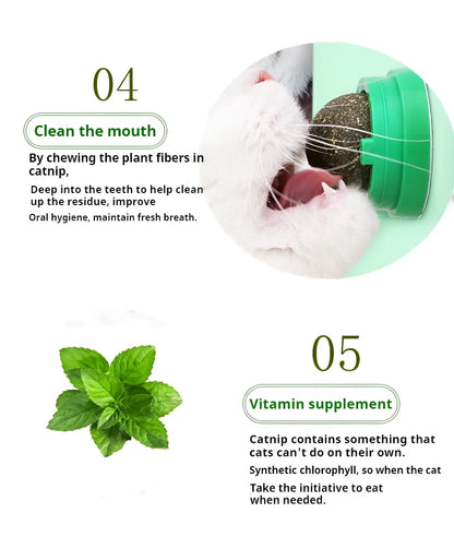 Natural Catnip Cats Wall Stick-on Ball Toy Scratchers Treats Healthy Natural Removes Balls to Promote Digestion Cat Grass Snack