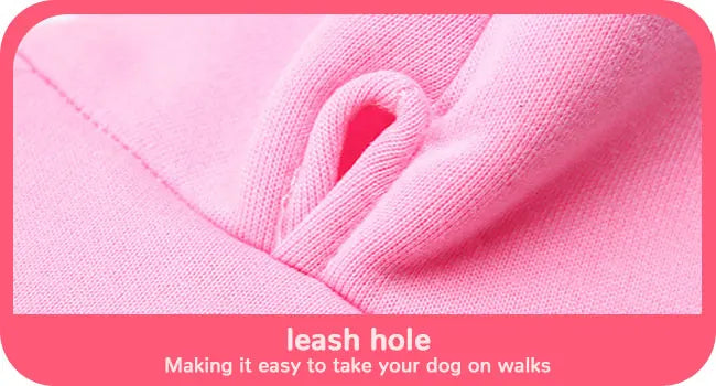 Fleece Lined Dog Hoodies Cute Girl Dog Sweatshirt Spring Winter Doggie Clothes Puppy Coat with Hat Pet Apparel for Small Dogs