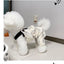 Cartoon Bunny Teddy York Dog Overalls Breathable Summer Spring Leisure Clothes for Cats Pocket Decorate Pet Boy Puppy T Shirt