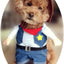 Funny Pet Dog Cat Halloween Costume Dog Cowboy Clothes Pet Dog Costumes for Small Dogs Cosplay Cat Accessories