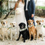 Adjustable Elegant Dog Wedding Flower Collar for Medium Large Dogs Cats, Pet Wedding Photo Props Costume Accessories