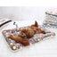 Soft Flannel Pet Mat dog Bed Winter Thicken Warm Cat Dog Blanket puppy Sleeping Cover Towel cushion for small Medium large dogs