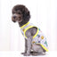 Pet Clothing Summer Sunscreen Cool Breathable Dog Vest Mesh Small Dog T-Shirt Outfit For Chihuahua Small Medium Dogs Accessories