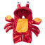 1PCS Halloween Dagger Pet Transformation Dress Festival Funny Knife Holding Dog Clothes Cat Standing Dress Pet Dress Up