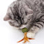 Cat Kitten Catnip Feather Ball Interactive Cat Kicker Feathers Creative Gift For Teeth Cleaning And Hair Removal  Cat Toys