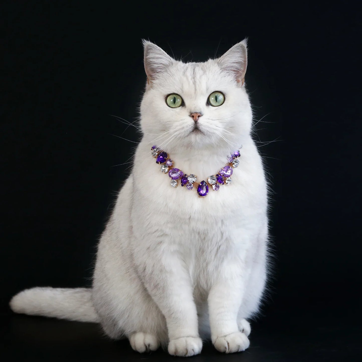 Adjustable Dog Necklace Jewelry for Small Medium Dogs Puppy, Luxury Blingbling Diamond Collar Wedding Prom Pet Accessories