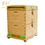 3 Layer or 2 Layer 10 Frame Langstroth Insulated Plastic Beehive Bee Hives