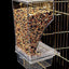 Bird Feeder Automatic Parrot Feeder Beverage Acrylic Seed Food Container Small And Medium-Sized Parrot Cage Accessories