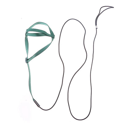 Training Flying Traction Rope Anti-Bite Training Rope Bird Parrot Flying Rope Parrot Harness Bird Harness Leash