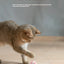 Pet automatic cat teasing ball cat toy for self fun and relaxation, rolling ball pet gravity cat toy