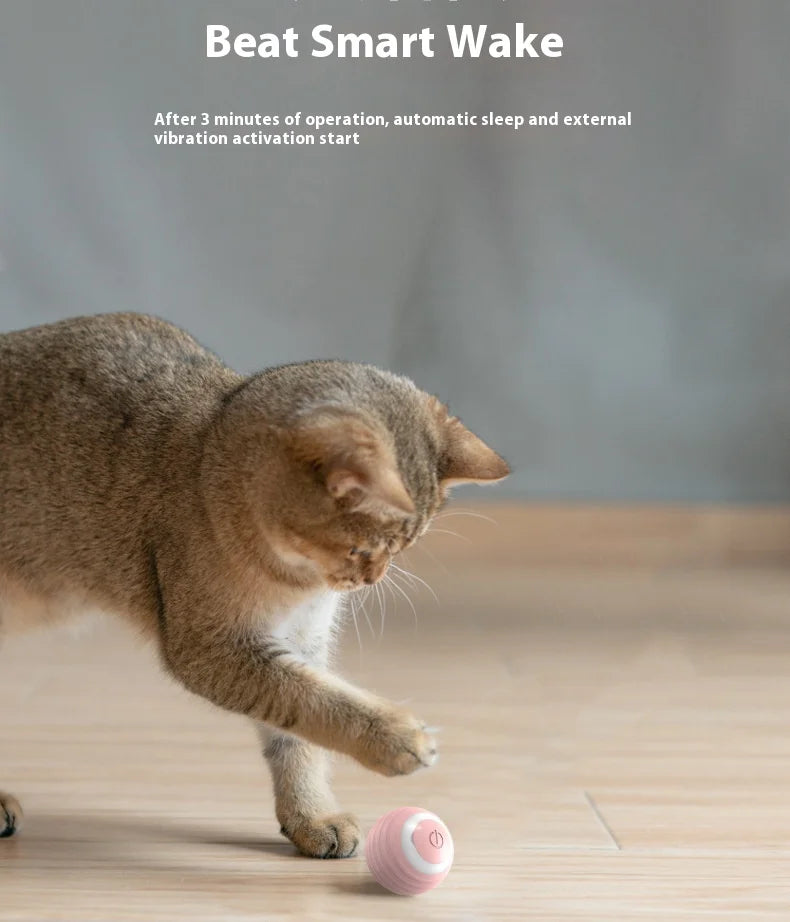 Pet automatic cat teasing ball cat toy for self fun and relaxation, rolling ball pet gravity cat toy