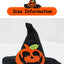 Wizard Hat for Pet Dogs Soft Polyester Lightweight Halloween Cosplay Chihuahua Cat Accessories Animal Pumpkin Bat Pet Products