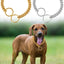 Stainless Steel Large Collar Chain for Dogs, Dog Metal P Chain Links, For Medium, Small dog, Gold Cuban Links Walking Training