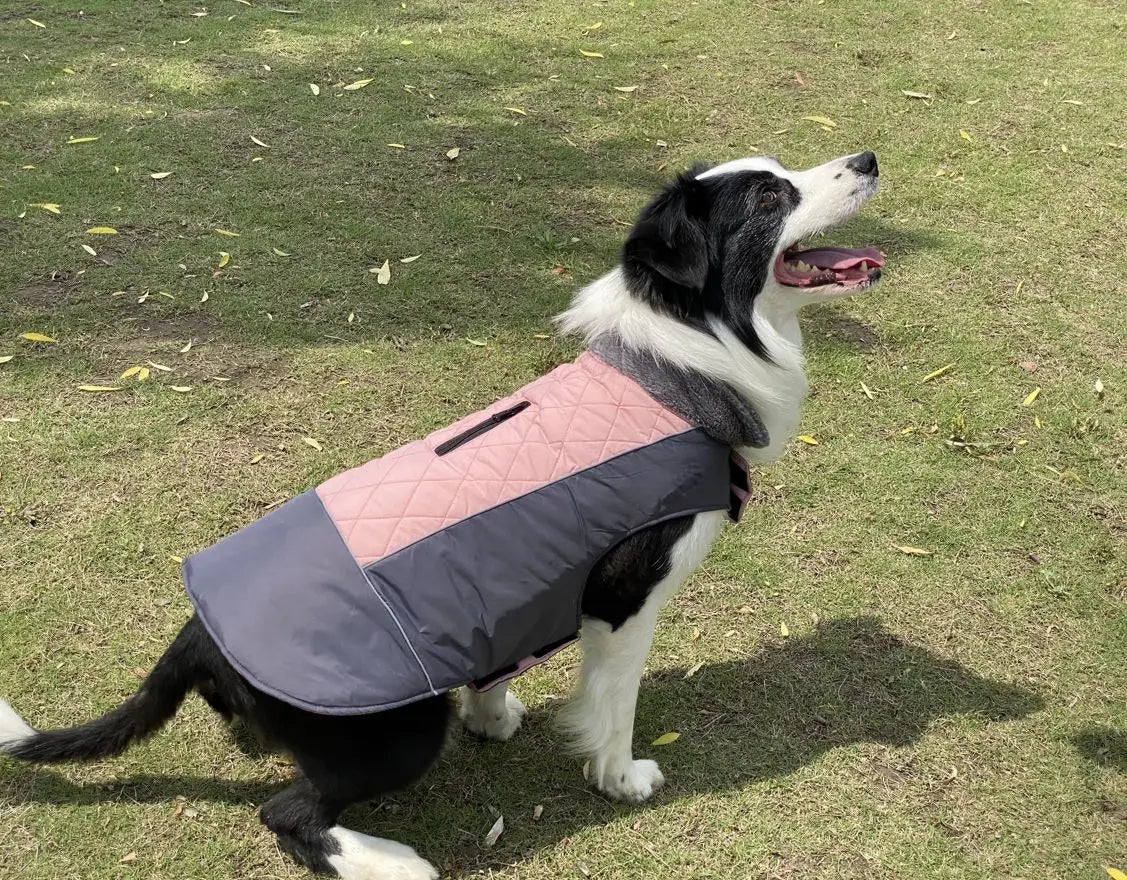 Warm Fleece Collar Dog Coat Jacket Double-Sided Winter Dog Coat Waterproof Puppy Clothing For Small Medium & Large Dogs Supplies