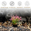 UXCELL Aquarium Artificial Plants Underwater Grass Fish Tank Accessories for Aquarium Simulation Decoration Plastic Ornament