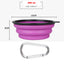 Collapsible Portable Pet Bowl