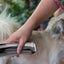 Pet Hair Clipper With Suction USB 3-Speed Vacuum Dog Shaver 1500mAh Rechargeable Low Noise Electric Dog Groomer For Cats