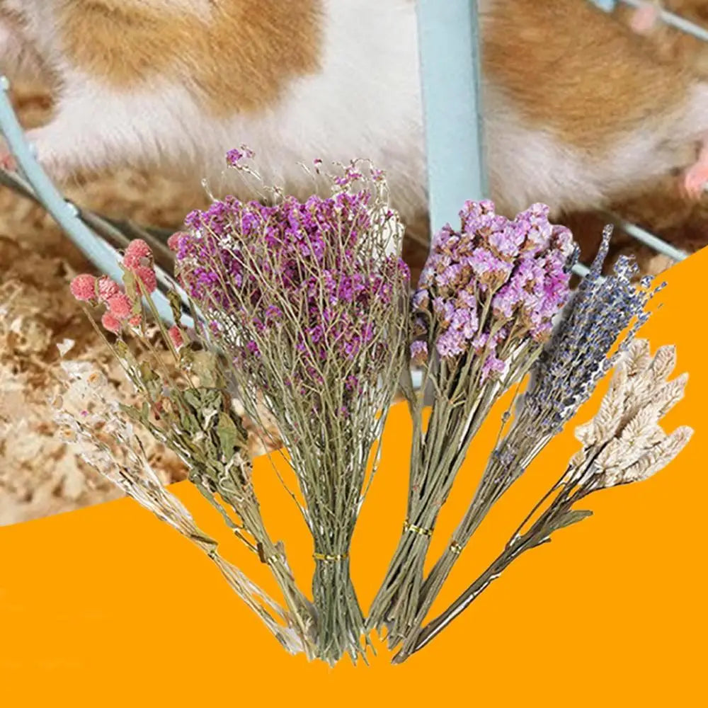 Flower And Plant Bedding Natural Hamster Bedding Hamster Deodorizing Bedding Small Animal Deodorant Product Landscaping Supplies