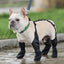 Dog Shoes Waterproof Adjustable Dog Boots Waterproof Breathable Pet Shoes Pets Paws Protector Outdoor Walking Soft Shoes