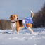Reusable Dog Diapers Female Easy to Put No Leak Dog Diapers for Heat Cycle Diapers for Dogs Female High Absorbent Puppy Diapers