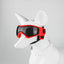 Cool Pet Sunglasses Eyewear for Dogs Animals mascotas Grooming Accessories Outdoor Cycling Puppy Dog Goggles Schnauzer Glasses