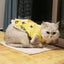 Summer Cotton Cat Dress Skirt Cute Pineapple Cherry Print Pet Clothes Dresses for Cats Sphynx Dog kedi elbisesi ropa para gatos
