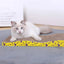 Cat Toys Pet Cat Scratching Board Corrugated Cardboard Pad Grinding Nails Interactive Protecting Furniture Cats Scratcher Toy
