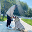 Pet Clothes  Pets Acessorios  Dog Clothing  Dog Costume Parent-child Wear Spring and Autumn One Color Eight Sizes