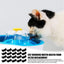 Cat Fountain Filters 20pcs Sponge Cat Filters Cat Fountain Foam Filter Replacement Cat Water Fountain Automatic Drinking Bowl