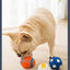 Dog Toy, Bite-Resistant, Molar-Resistant, Sounding Ball, Boredom Relief Artifact, Puppy, Corgi, Puppy, Golden Retriever, Large Dog Pet Supplies