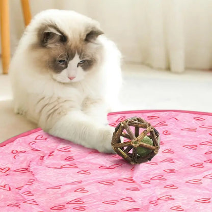 2 in 1 Self Rotating Ball Cat Toy Smart Interactive Cat Toy USB Rechargeable Wicked Ball 360 Degree Automatic Cat Moving Rolling